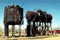 tanks-front
